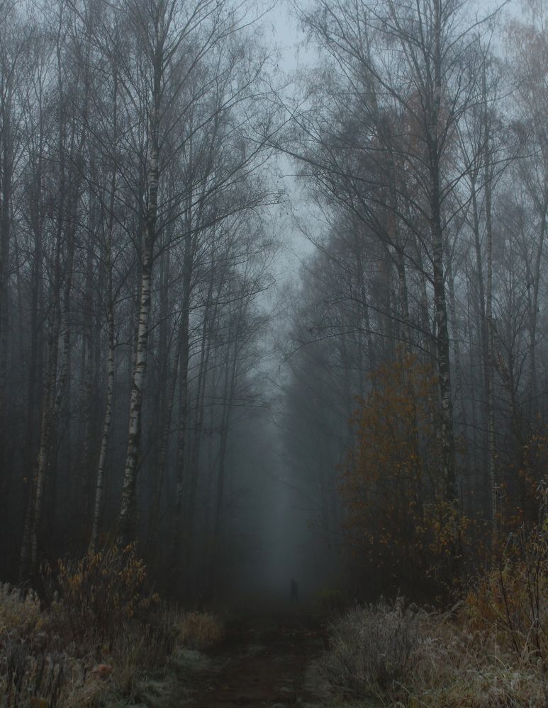 Фотография автора Михаил Кротков