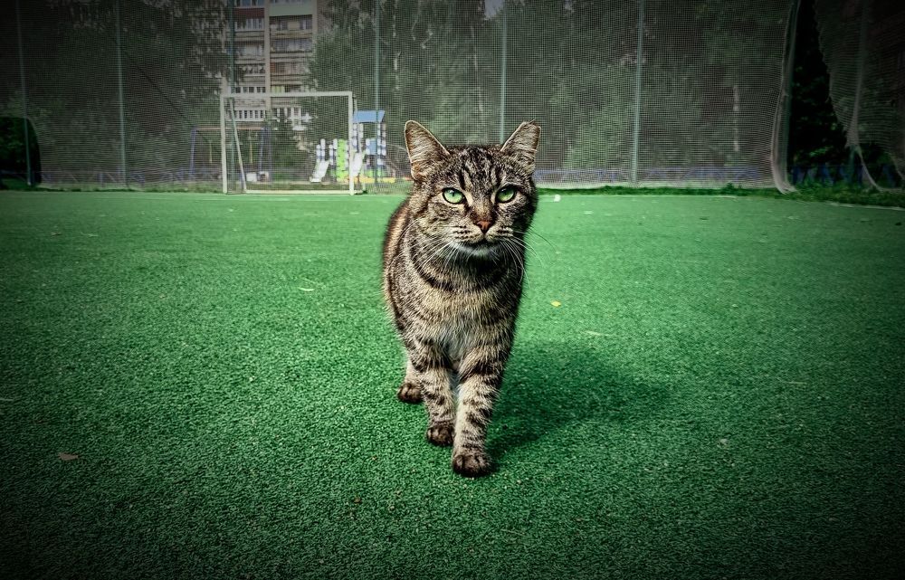 Photograph by Игорь Блинов