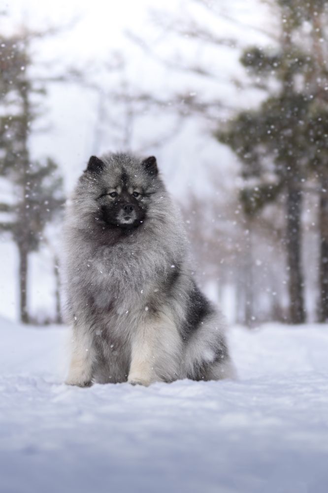 Photograph by Виктория Сафонова