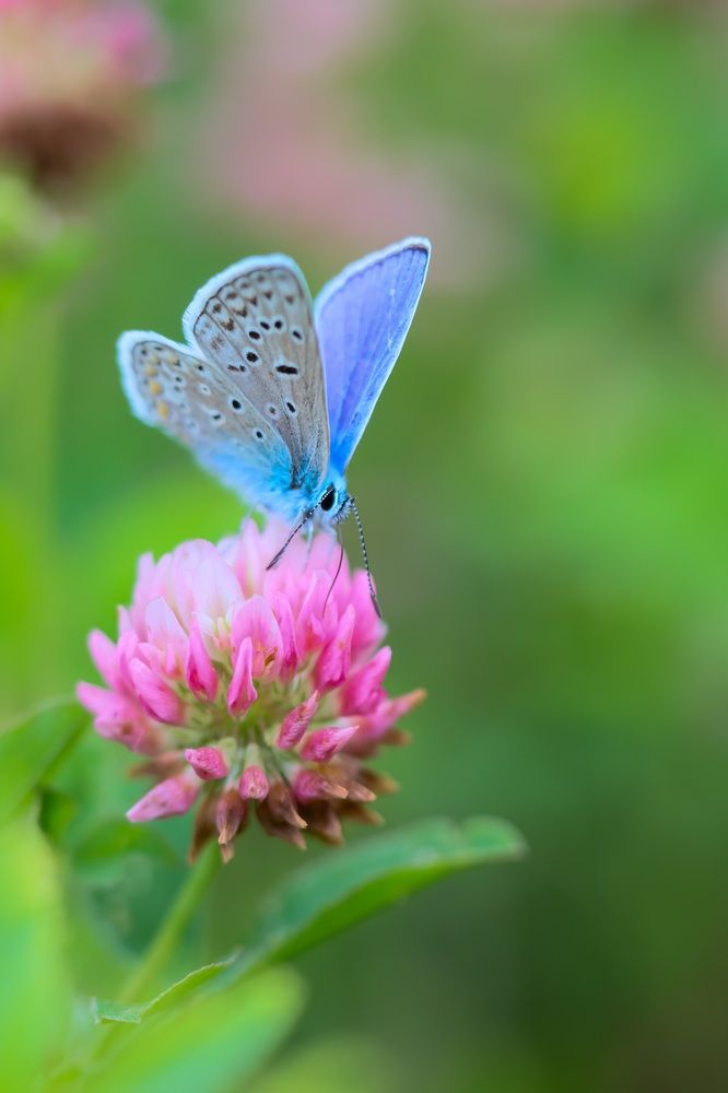 Photograph by Сергей Назаредский