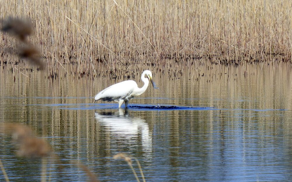 Photograph by Pjotr Alekseev