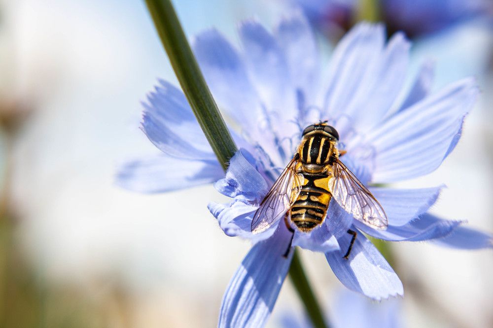 Фотография автора Ирина Гриценко