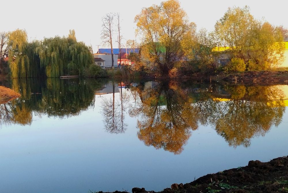 Photograph by Людмила Прибылова