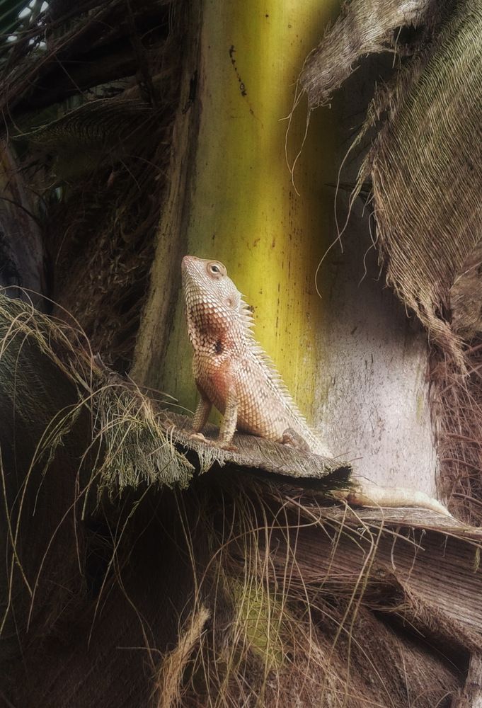 Photograph by Anastasiia