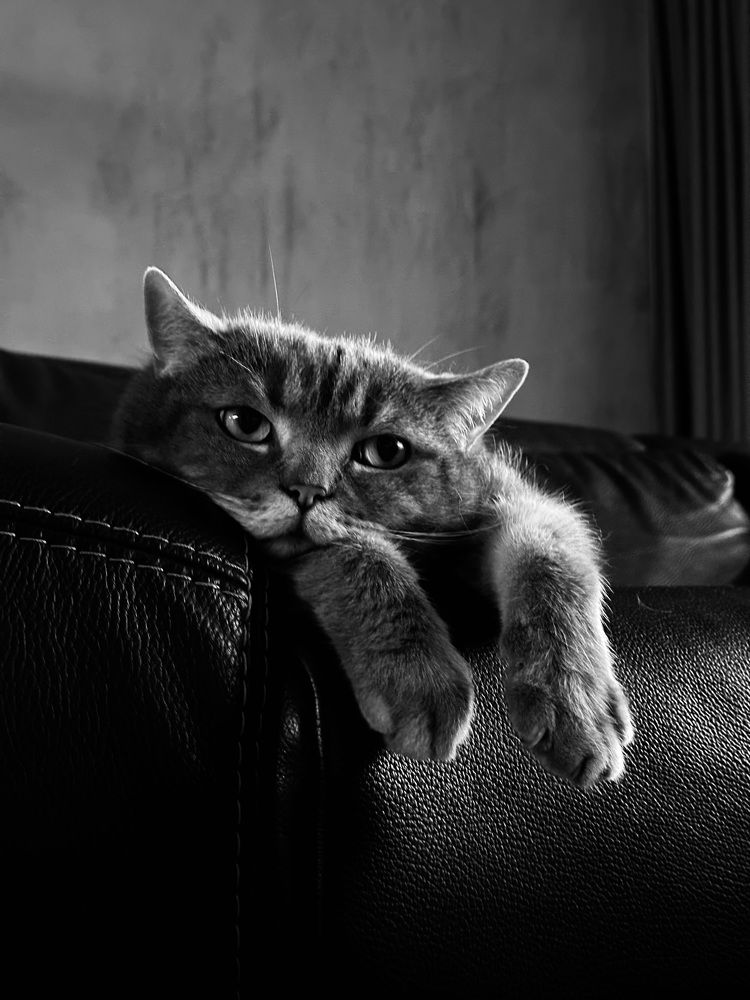 Photograph by MARGARITA KERRE