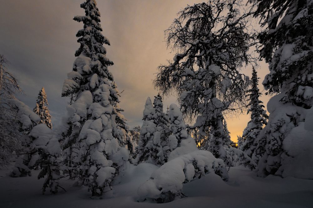 Photograph by Ivan Fedyanin