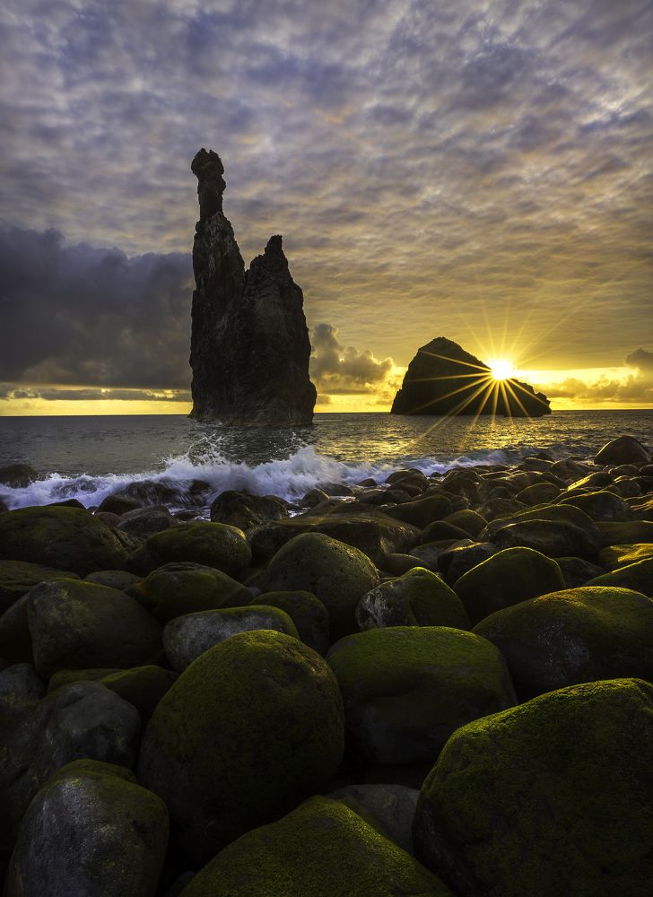 Фотография автора Ioana Crisan