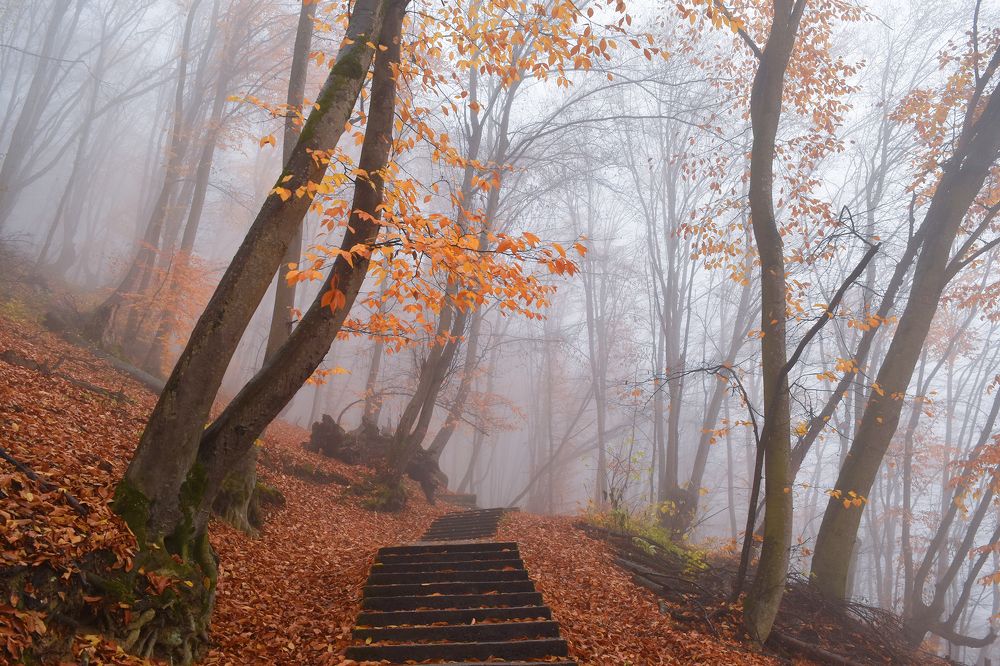 Photograph by Ирина Шипунова