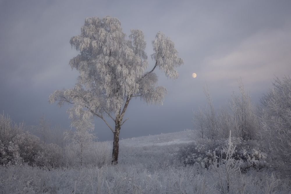 Photograph by Сергей Буторин