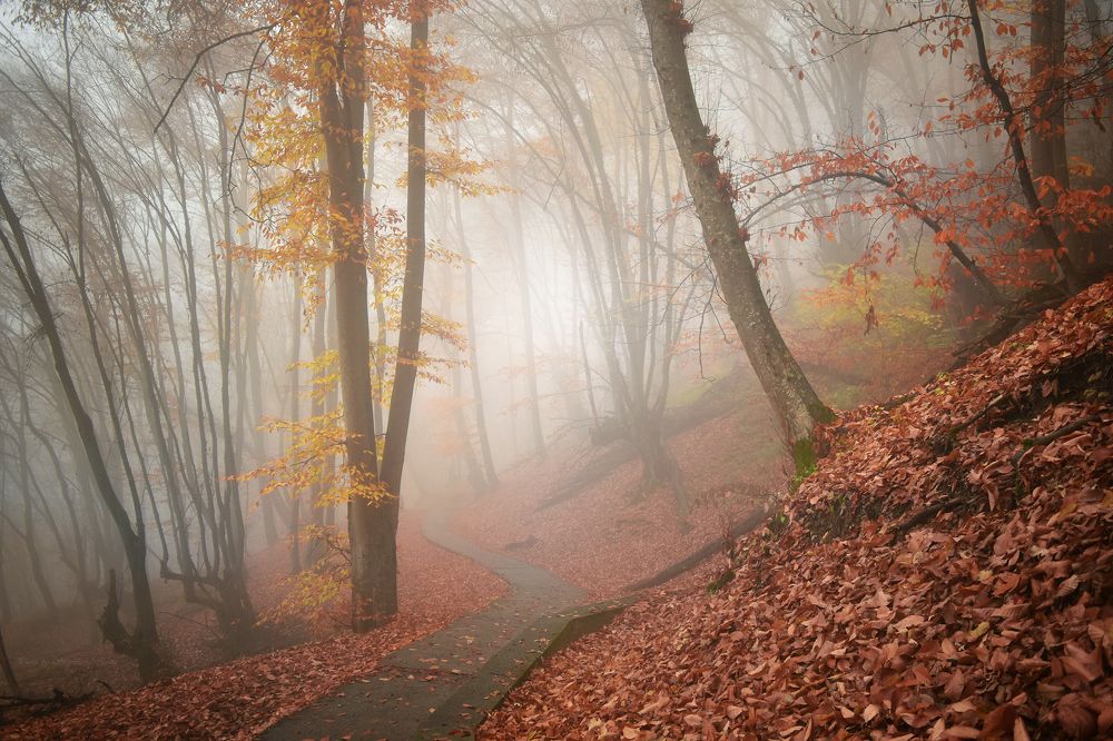 Photograph by Ирина Шипунова