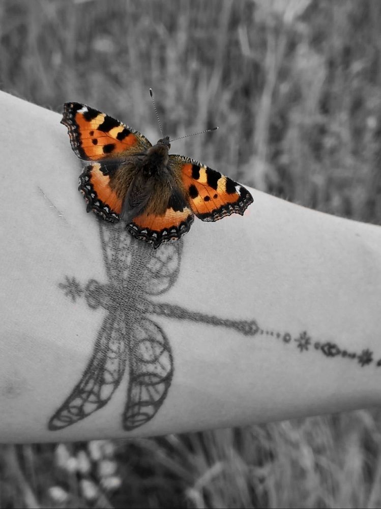 Photograph by Зоя Кулько