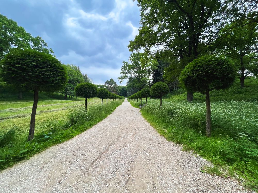 Photograph by Денис Калашников