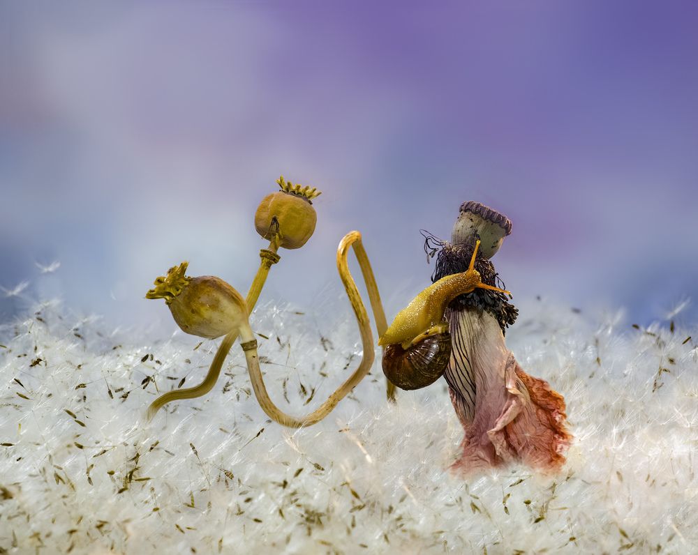 Фотография автора Черновол Валентин