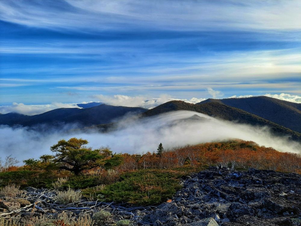 Photograph by Наталья Чередниченко