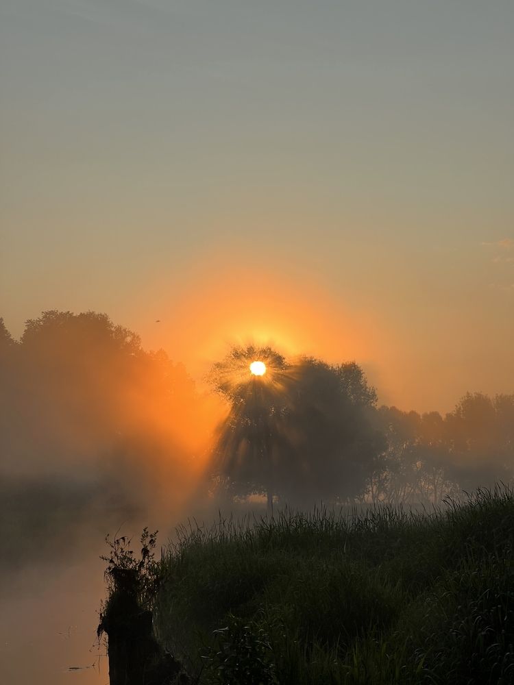 Photograph by Анастасия Юсова