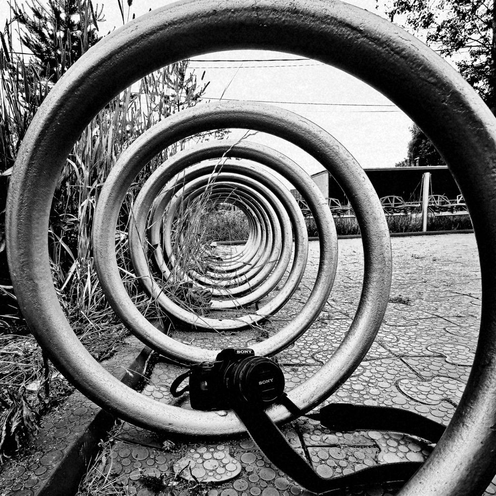 Photograph by Алексей Николаевич