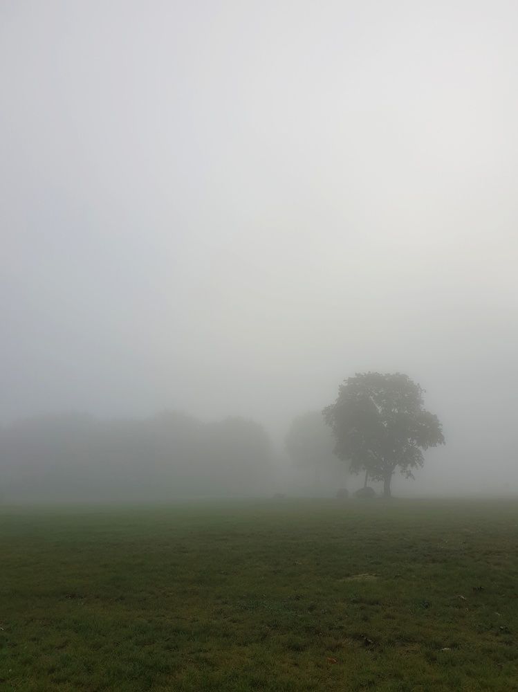 Photograph by Вера Крейдич