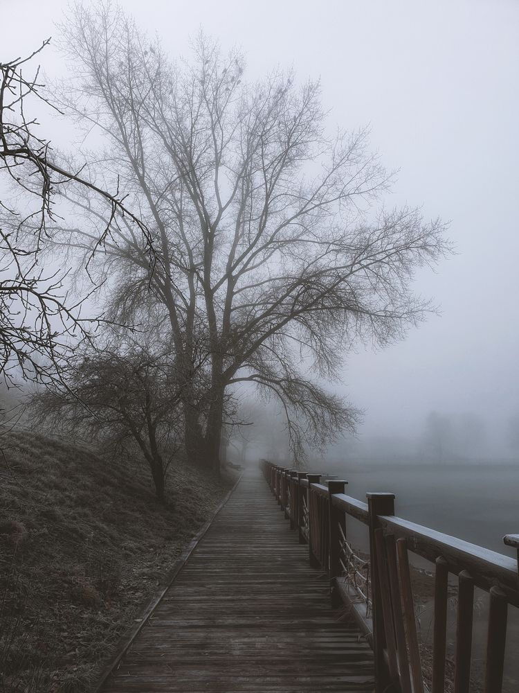 Photograph by Вера Крейдич