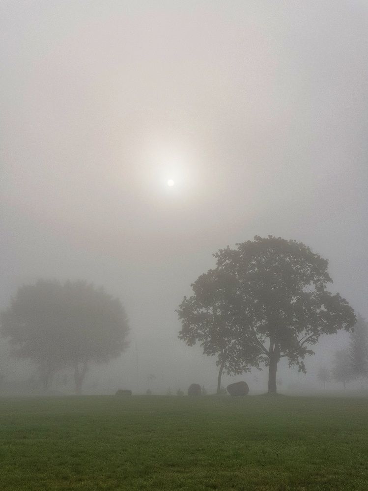 Photograph by Вера Крейдич