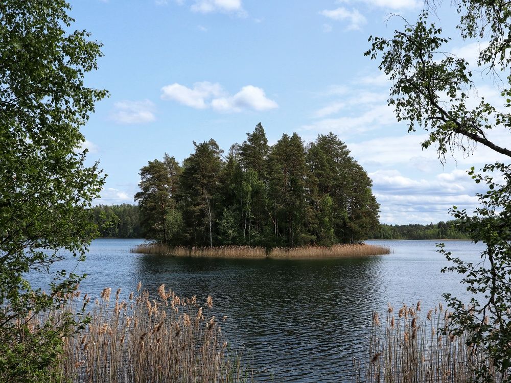 Photograph by Ирина Корабельникова