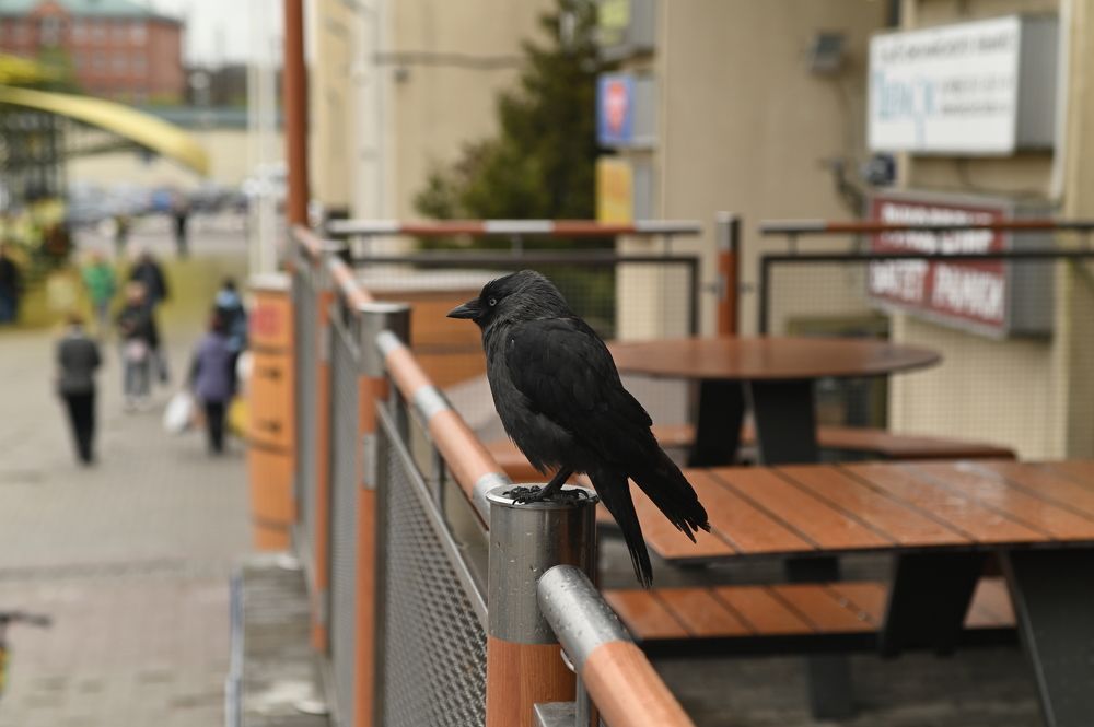 Photograph by Константин