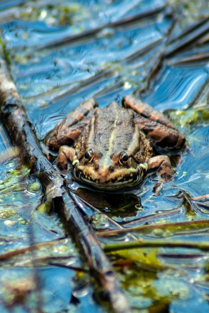 Photograph by Екатерина Бахтинова