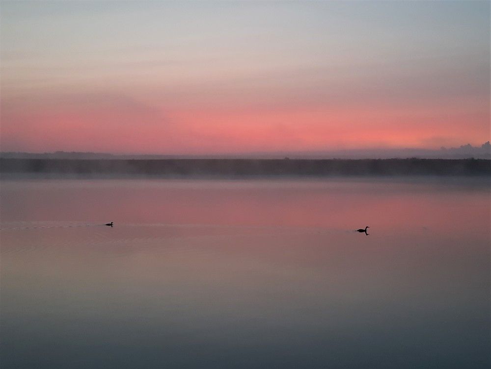 Фотография автора Елена Пикатова