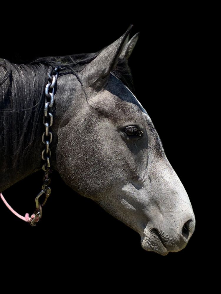 Photograph by Андрей Васильев