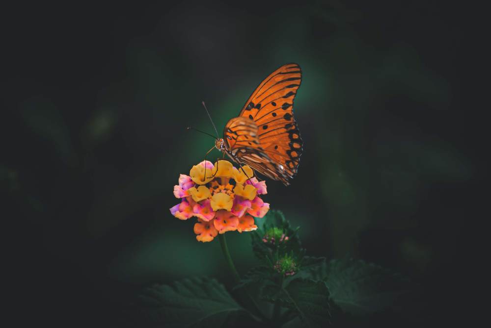 Photograph by Silvina Sánchez