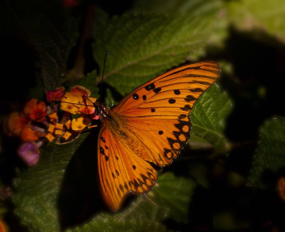 Photograph by Silvina Sánchez