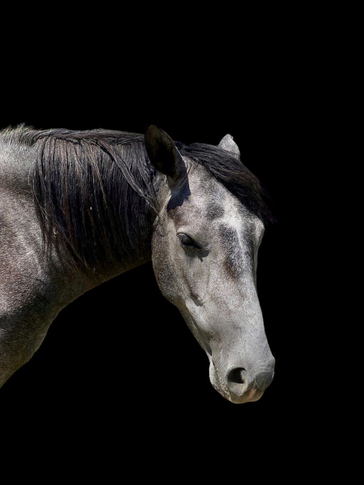 Photograph by Андрей Васильев