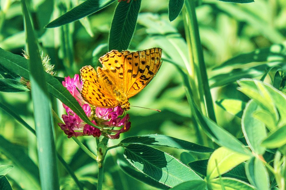 Photograph by Татьяна Семенова