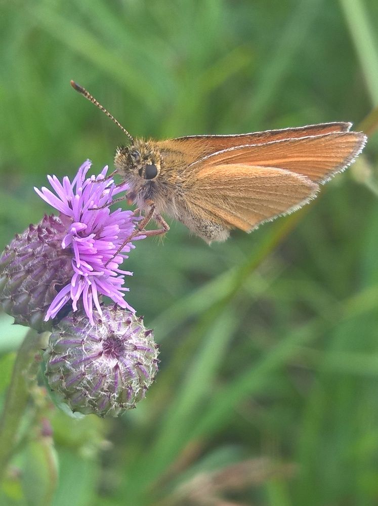 Photograph by Олеся Купча