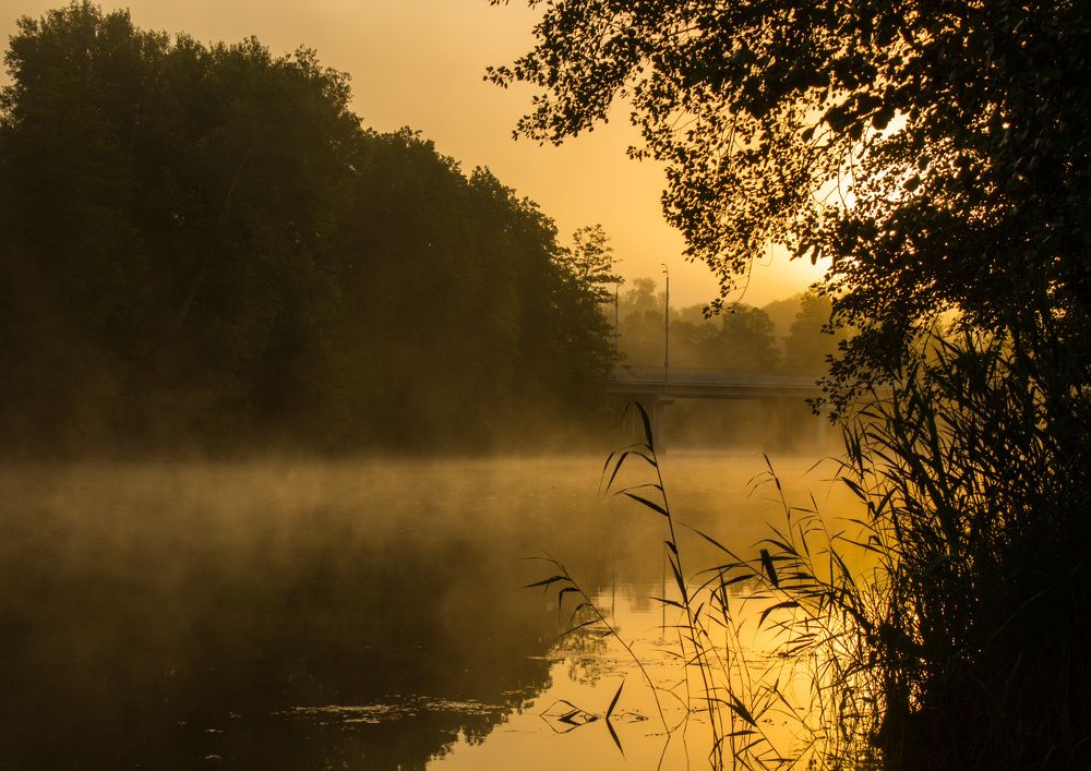 Photograph by Матвей Короткин