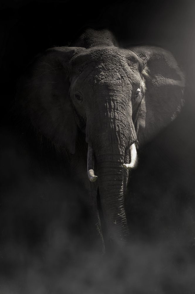 Photograph by praveesh pv