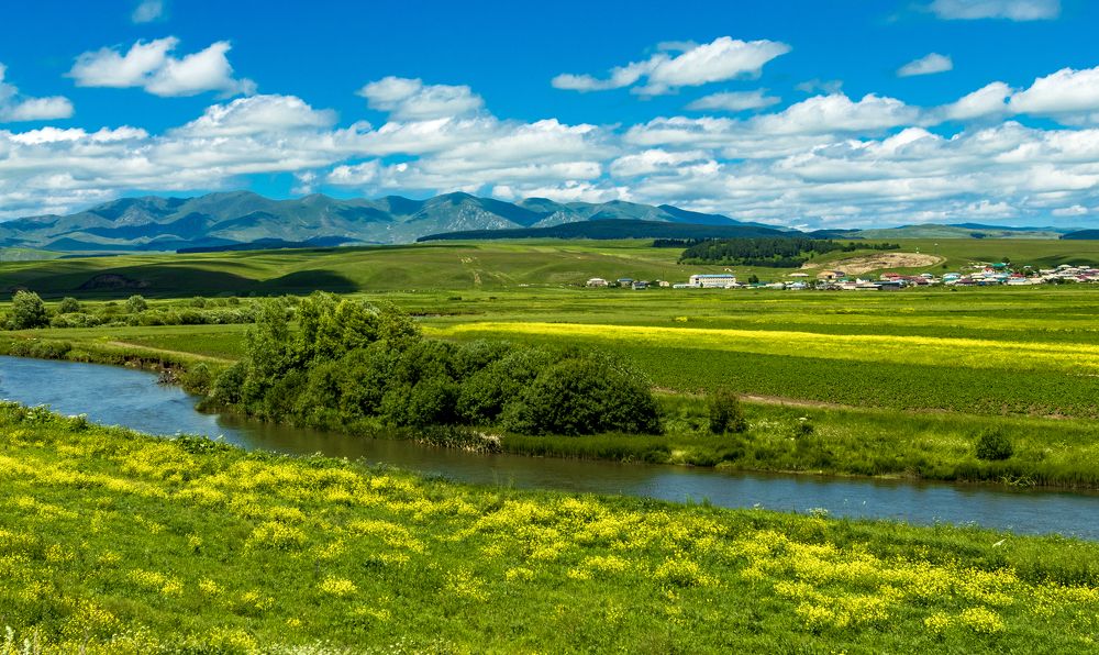 Photograph by Alex Kalpus