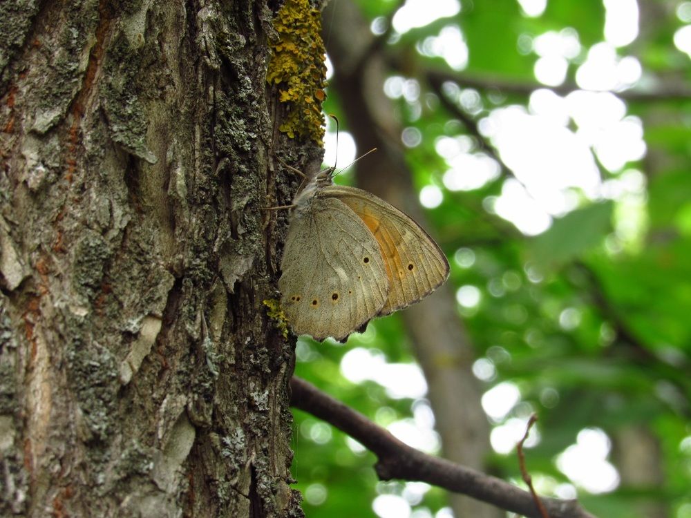 Photograph by Денис Веску