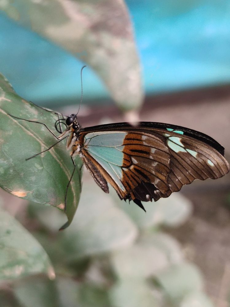 Фотография автора Iri