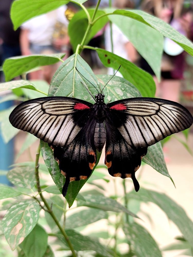 Фотография автора Iri