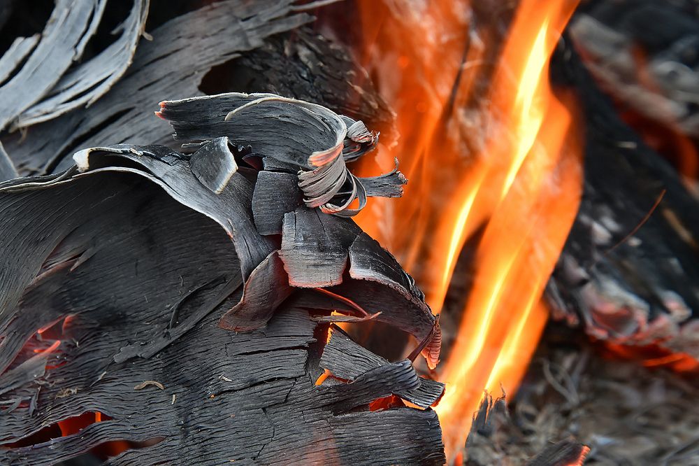 СКАЗКИ ОГНЯ