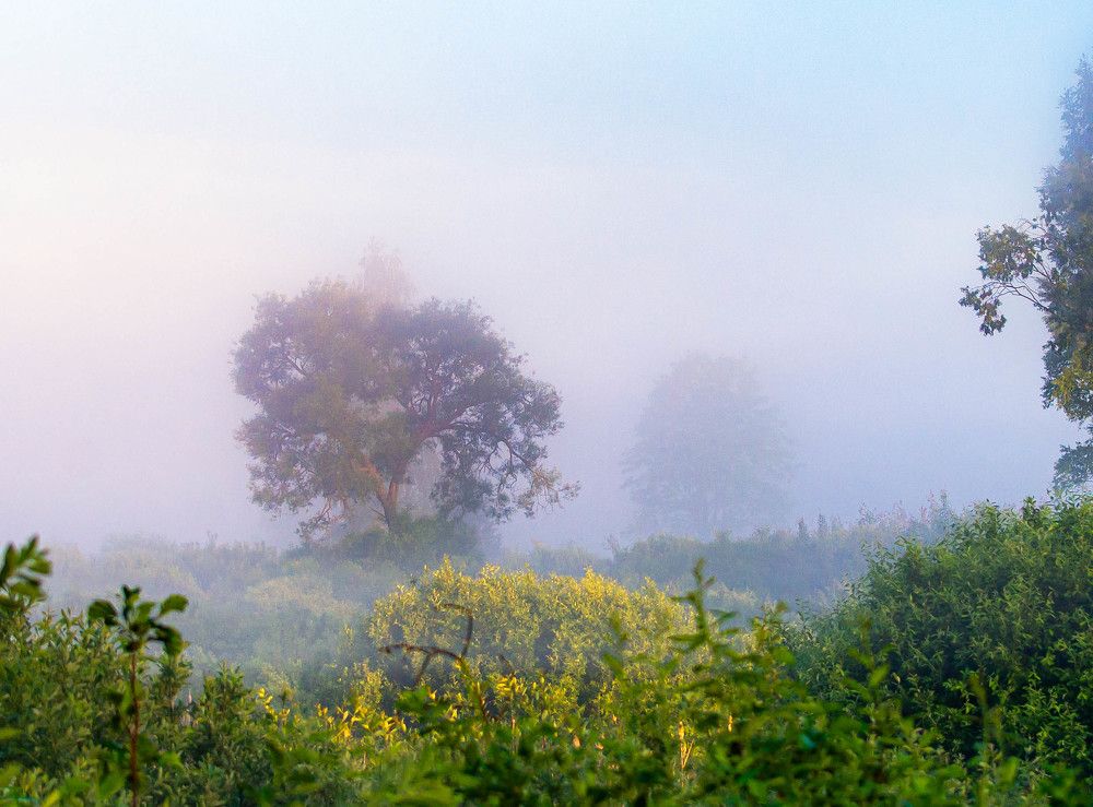Фотография автора Aлексей Игнатьев