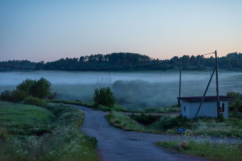 Photograph by Анна Чеснокова