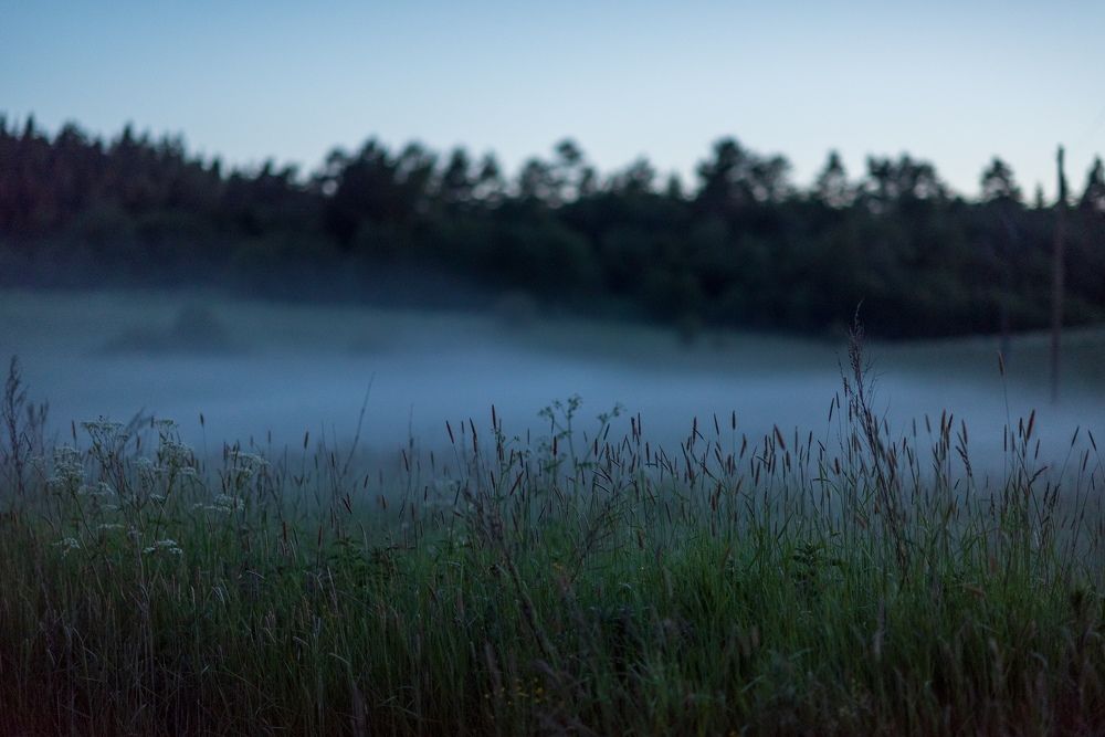 Photograph by Анна Чеснокова