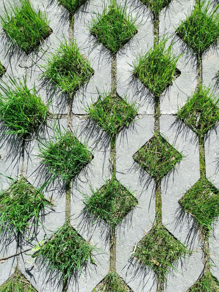 Фотография автора Наталья