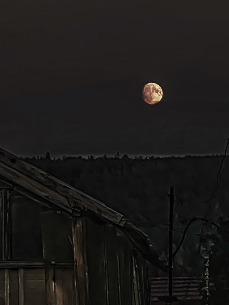 Photograph by Владислава Игошина