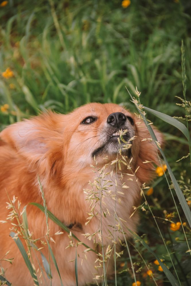 Photograph by Валерия Гуртовая