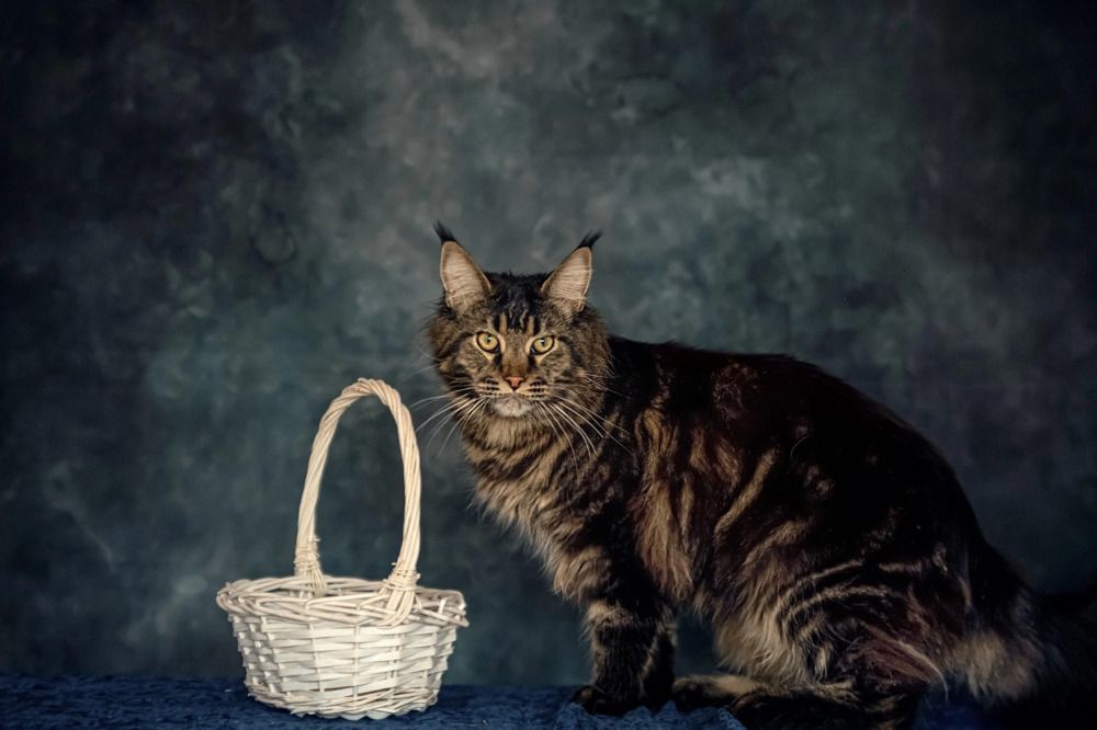 Photograph by Милана Бабченко