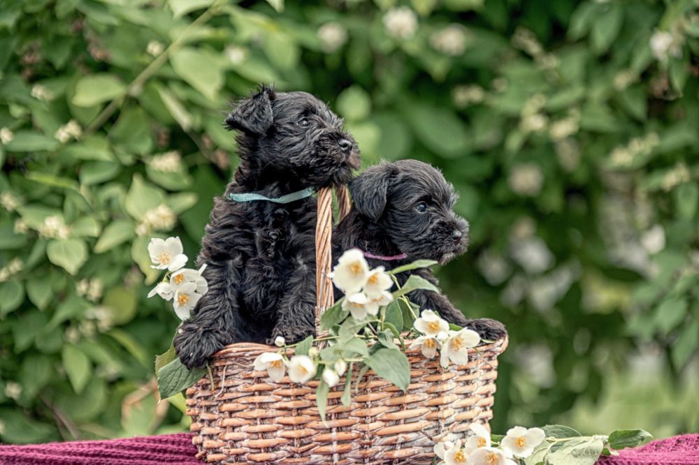 Photograph by Милана Бабченко