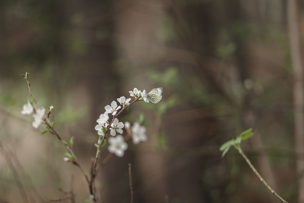 Photograph by Ivan Osipov