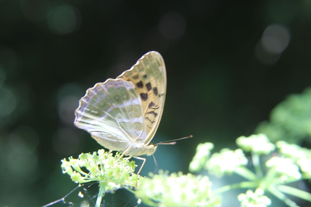 Photograph by Yordanka Vasileva